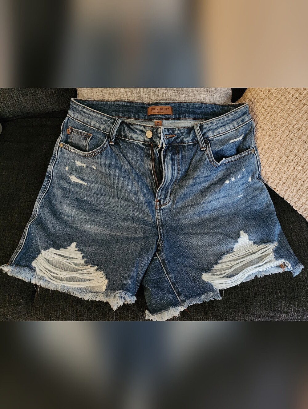 Judy Blue Shorts 1X